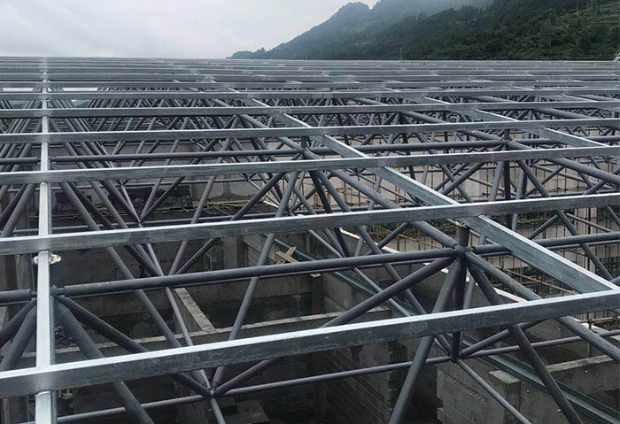 平湖学校艺体楼网架
